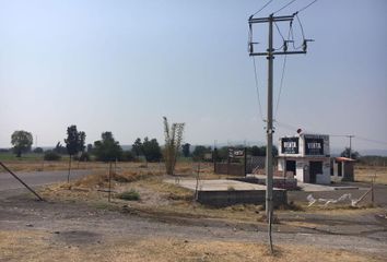 Lote de Terreno en  Carretera Celaya-querétaro, Apaseo El Grande, Guanajuato, Mex