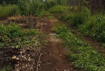 Lote de Terreno en  Bacalar, Bacalar, Bacalar, Quintana Roo