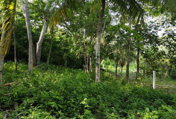 Lote de Terreno en  Bacalar, Bacalar, Bacalar, Quintana Roo