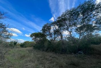 Lote de Terreno en  Chichi Suárez, Mérida, Yucatán