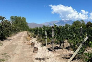 Terrenos en  San Carlos, Mendoza