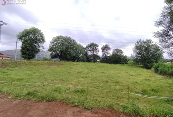 Terreno en  La Cavada, Cantabria