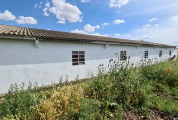 Nave en  Morales Del Vino, Zamora Provincia