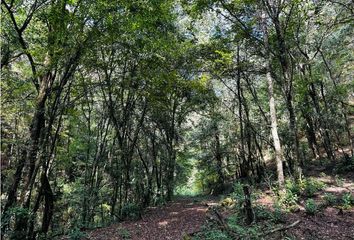 Lote de Terreno en  Avándaro, Valle De Bravo