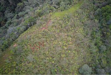 Lote de Terreno en  Sendo, Dagua