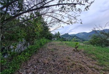 Lote de Terreno en  La Trinidad, Manizales