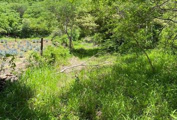 Lote de Terreno en  Santa María Del Oro, Nayarit