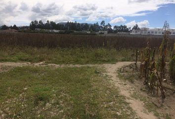 Terreno Comercial en  Calderón, Quito