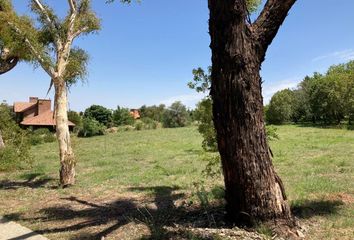 Terrenos en  Merlo, San Luis