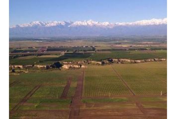 Quinta/Finca en  Las Heras, Mendoza