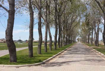 Terrenos en  Virrey Del Pino, La Matanza