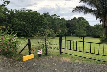 Lotes y Terrenos en  Hurtado, La Chorrera