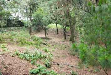 Lote de Terreno en  Huitzilac, Huitzilac, Huitzilac, Morelos