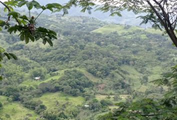Lote de Terreno en  Villeta, Cundinamarca