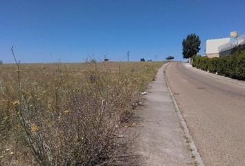 Terreno en  Zamora, Zamora Provincia