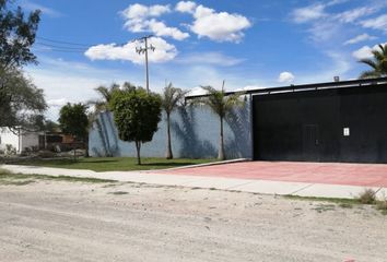 Rancho en  Tienda De Abarrotes, Calle Constitución, Zapote Del Valle, Tlajomulco De Zúñiga, Jalisco, 45672, Mex