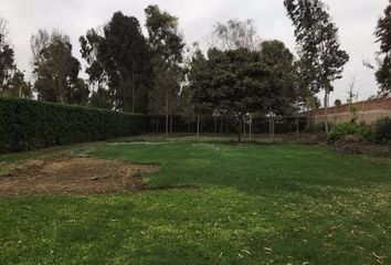 Terreno en  Lurin, Lima