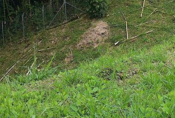 Lote de Terreno en  Cl. 14 #13-2, Pereira, Risaralda, Colombia