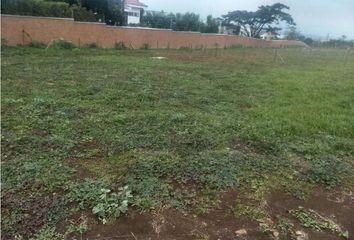 Lote de Terreno en  Parcelaciones Pance, Cali