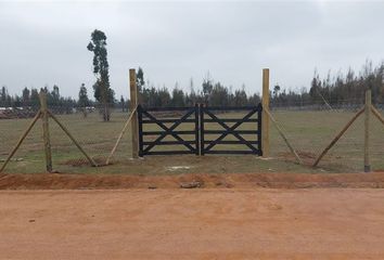 Parcela en  Litueche, Cardenal Caro