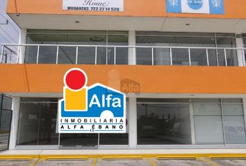 Local comercial en  Álvaro Obregón, San Mateo Atenco