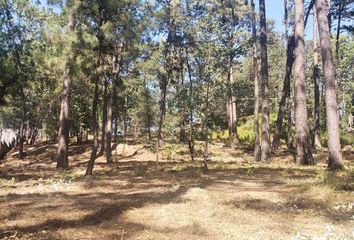 Lote de Terreno en  Avándaro, Valle De Bravo