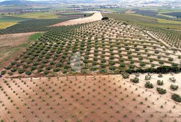 Terreno en  Campillos, Málaga Provincia