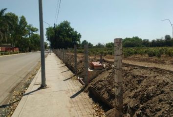 Lote de Terreno en  Centro, Guasave