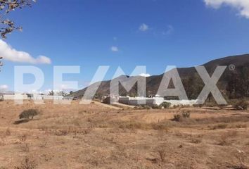 Lote de Terreno en  Murgia, Ensenada