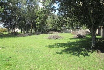 Lote de Terreno en  Lázaro Cárdenas, Metepec