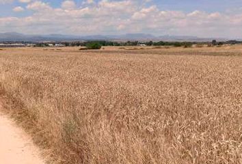 Terreno en Algete, Madrid Provincia