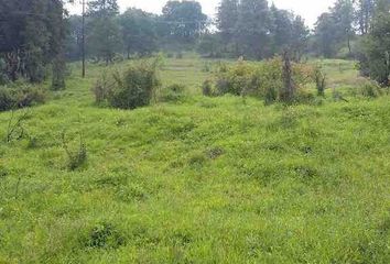 Lote de Terreno en  Tlalmanalco, Estado De México