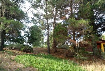 Terrenos en  Otro, Monte Hermoso