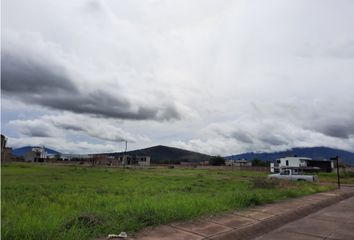Lote de Terreno en  Noria De Montes, Sahuayo