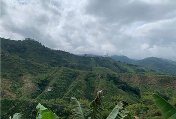 Bodega en  La Trinidad, Manizales