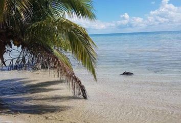 Lote de Terreno en  Puerto Morelos, Quintana Roo