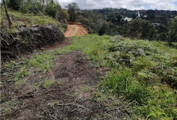 Lote de Terreno en  San Vicente, Antioquia