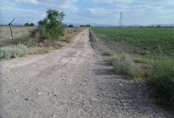 Lote de Terreno en  Manuel Muñoz Olivares, Matamoros