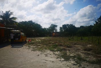 Lote de Terreno en  Majahual, Othón P. Blanco