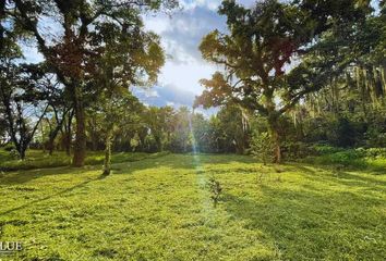 Lote de Terreno en  Plan De La Cruz, Coatepec, Veracruz