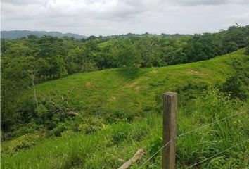 Finca/Hacienda en  Los Díaz, La Chorrera