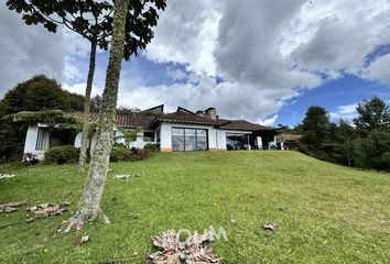 House for rent in Envigado, Envigado