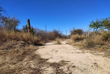 Lote de Terreno en  El Carrizal, Baja California Sur