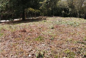 Lote de Terreno en  Rionegro Antioquía