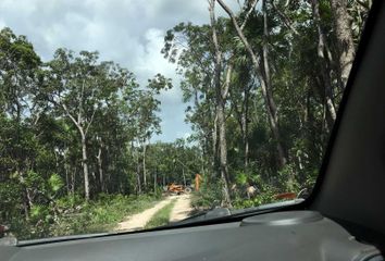 Lote de Terreno en  Lago La Union, Quintana Roo, México