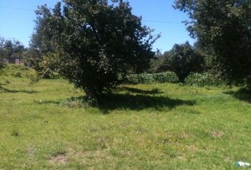 Terrenos en  Alejandro Petión, Partido De Cañuelas