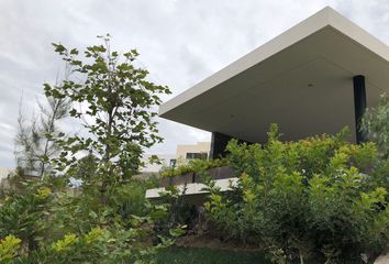 Lote de Terreno en  Lomas Del Pedregal, San Luis Potosí