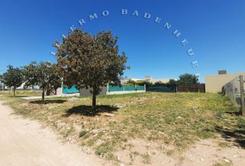 Terrenos en  General Cerri, Partido De Bahía Blanca