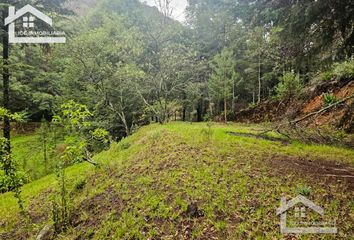 Lote de Terreno en  Mineral Del Chico, Hidalgo