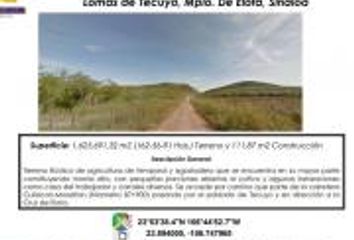 Lote de Terreno en  Elota, Sinaloa, Mex